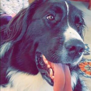 Meet your Posher, Justine